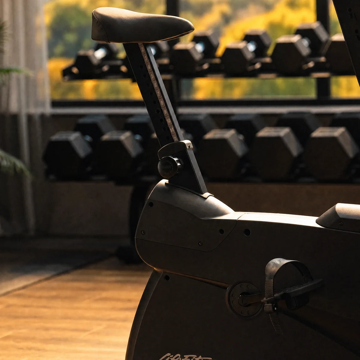 Atmos Upright Bike