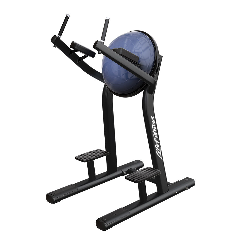 Life Fitness Leg Raise