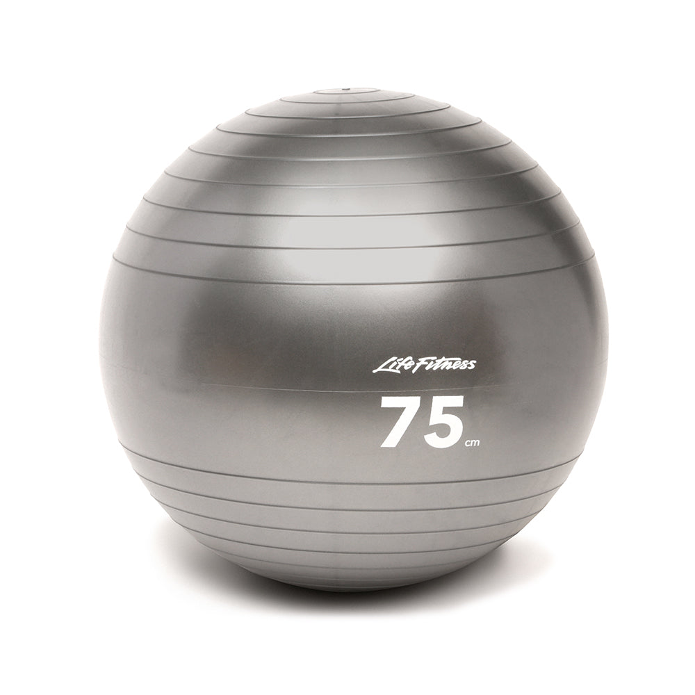 Life Fitness Stability Balls