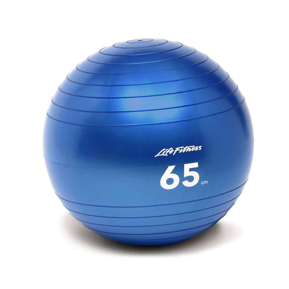 Life Fitness Stability Balls